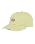 Dickies Hardwick 6-Panel Baseballpet Lichtgroen