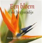 Bloem uit het paradijs