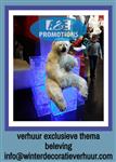 ijstroon verhuur frozen aankleding heerenveen 
