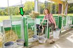 Standpaal voorzijde t.b.v. groene Patura kalverbox