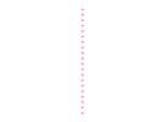 Hartjes Slinger Roze 3,5m