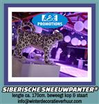 sneeuwpanters verhuur bewegende pooldieren arnhem