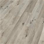 Sydney harbour dryback smoky