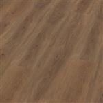 Parramatta dryback warm brown