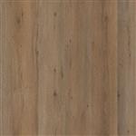 Leyton dryback smoky