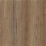 Leyton click SRC smoky