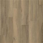 Paddington click SRC smoky