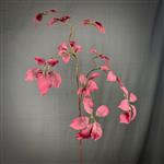 Bladtak - zijde kunst blad - zacht rood - roze - 110 cm