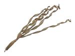 Gedraaid Palmblad Naturel 80-90 cm - Set van 5 Voor Bloemschikken en Decoratie Gedraaid Palm blad
