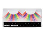Regenboog Nep Wimpers Jumbo