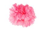 Bloem Haarclip Roze