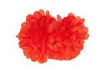 Bloem Haarclip Rood