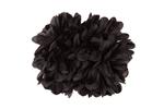 Bloem Haarclip Zwart