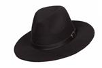 Cowboy Hoed Zwart