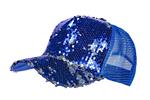 Blauwe Pet Pailletten
