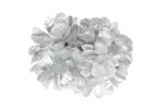 Bloem Haarclip Zilver