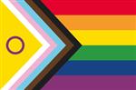 NR 560: Intersekse Progress Pride Vlag 100x150cm (voor gevelstok)