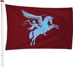 NR 530: Airborne vlag 100x150cm (voor gevelstok)