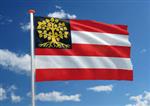 Vlag Den Bosch 100x150cm (voor gevelstok)