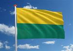 Vlag Den Haag 100x150cm (voor gevelstok)