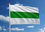 Vlag gemeente Groningen 200x300cm (voor masten 7 en 8 meter)