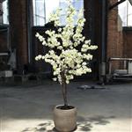 Kunst Bloesemboom - Kunstboom - 175cm - crème wit - Allergie vrij - geheel kunst stof