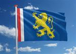 Vlag gemeente Leeuwarden 200x300cm (voor masten 7 en 8 meter)