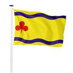 Vlag Hardenberg 150x225cm (voor masten 6 en 7 meter)