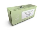 BA'SIL INSTANT COLLAGEN GUM, 30 Gums