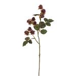 Bramentak Mulberry Spray 54cm - Purple - Van het merk: PURE, Zijde Merk: PURE   Zijde