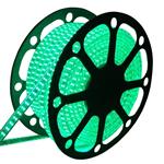 Lichtslang groen - 5 meter - gebruiksklaar | 230V AC - 60 LED's/m | sproeidicht - IP65