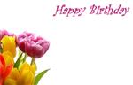 Bloemenkaartjes - 50 Stuks - Happy Birthday Bouquet Wenskaarten Wenskaarten