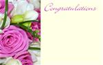 Bloemenkaartjes - 50 Stuks - Congratulations Flower Bouquet Wenskaarten Wenskaarten