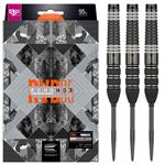 Target Raymond van Barneveld Echo 95% Dartpijlen 21-23-25 Gram