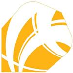 Shot Zen Tanto Std.6 Flights