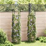 vidaXL Tuinboogtorens 2 st