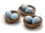 Nestjes met 2 Kwarteleitjes en Veertjes - Hemelsblauw - Doos van 6 - Vogelnest Vogelnest kwarteleitj