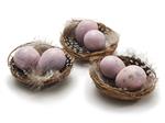 Nestjes met 2 Kwarteleitjes en Veertjes - Nude Pink - Doos van 6 - Vogelnest Vogelnest kwarteleitjes