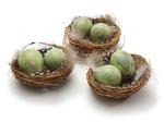 Nestjes met 2 Kwarteleitjes en Veertjes - Matcha Groen - Doos van 6 - Vogelnest Vogelnest kwarteleit