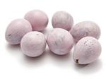 Kwarteleitjes Nude Pink - 60 Stuks - Leeggeblazen voor Decoratie Leeggeblazen voor decoratie
