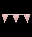 Rose Gouden Slinger Glitters 6m