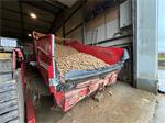 Grimme RH24 - 60 Combi stortbunker met voorsorteerder en inspectietafel