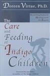 The Care and Feeding of Indigo Children