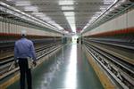 Led Tri Proof bar 120cm / 36W / 4000K