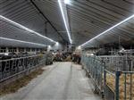 HEAVY DUTY INDUSTRIE LED LICHTLIJN 10 meter 114W 19.000 Lumen