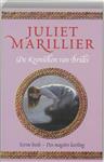 Des magiërs leerling / De Kronieken van Bridei / 1