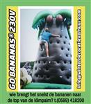 jungle feest verhuur groningen assen t. 0599416200