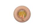 Sensorische donut - wortels