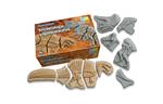 Dig and Discover - Triceratops & Spinosaurus