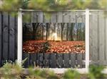 NR 1203: Tuinposter bos herfstkleuren 90x180cm